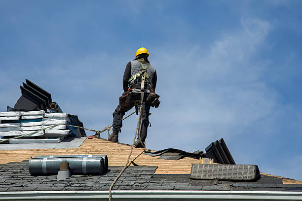 Professional Gutter Installation technician working in Sharps Chapel, TN